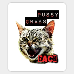 Pussy Grabs Back Sticker